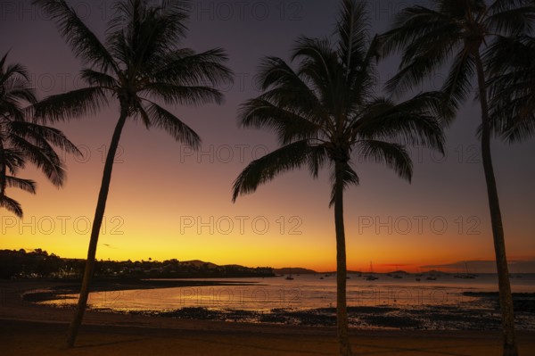 Evening sun set at Cairns Esplanade with glowing sky and palms by the bay, Cairns, Queensland,