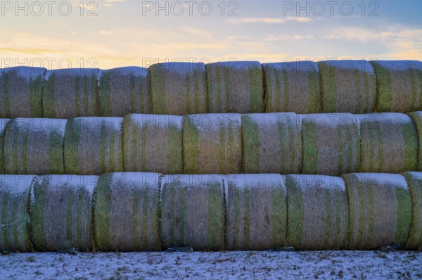 Straw bales stored in field, agriculture, Schmidener Feld, cold, winter, wintery, Schmiden near