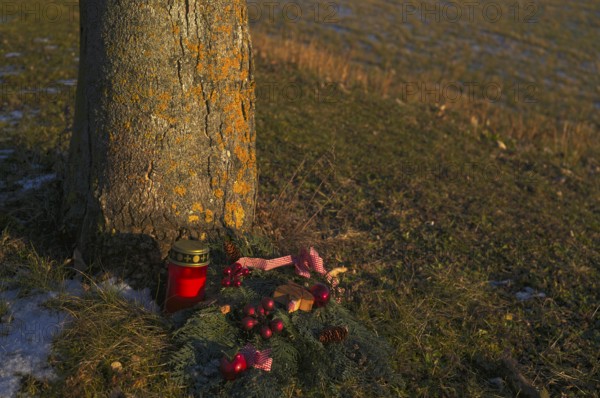 Candle, grave candle and grave decoration on tree grave, tree trunk, main cemetery, evening light,