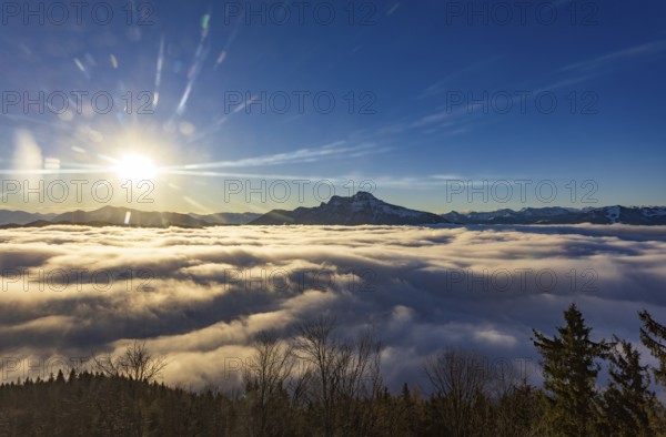 Sunrise, view from Kulmspitze, Schafberg rising out of a sea of fog, inversion weather, Osterhorn