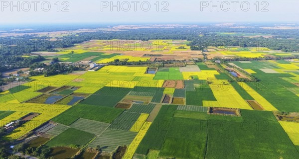 An aerial view captures an expansive patchwork of mustard fields spread across rural India during