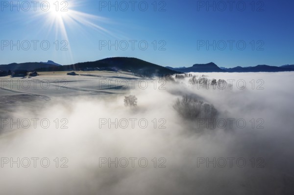 Drone view, agricultural landscape with trees in autumn morning fog at sunrise, inversion weather,