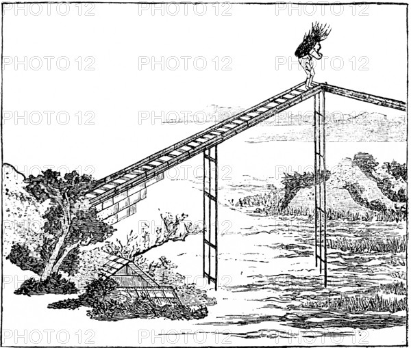 Japanese bridge, wooden structure, river, crossing, load carrying, man, brushwood, shore, tree,