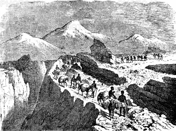 Caravan train on the Inca Strait in the Andes, mountains, snow-capped peaks, gorge, caravan, pack