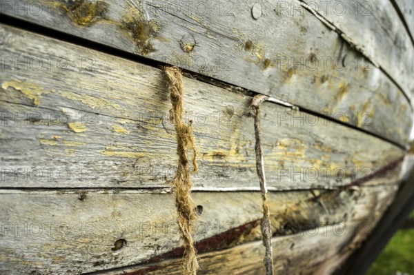 Close-up of weathered wooden planks of an old fish boat the hemp from the calfater is visible