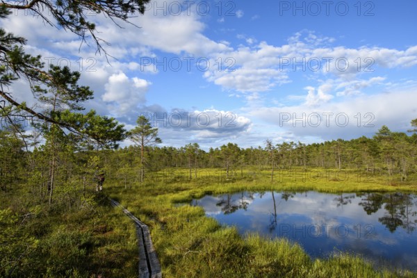 A moor lake with clear sky, clouds and wooden plank path in Hammarmoosen moor, Hällefors, Örebro