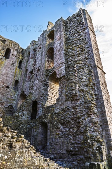 Ruins of Norham Castle and River Tweed, Norham, Northumberland, England, United Kingdom