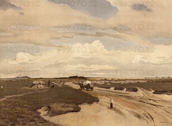 Heathland and flock of sheep, Tynaarlo, 1890, municipality in the Netherlands, province of Drenthe,