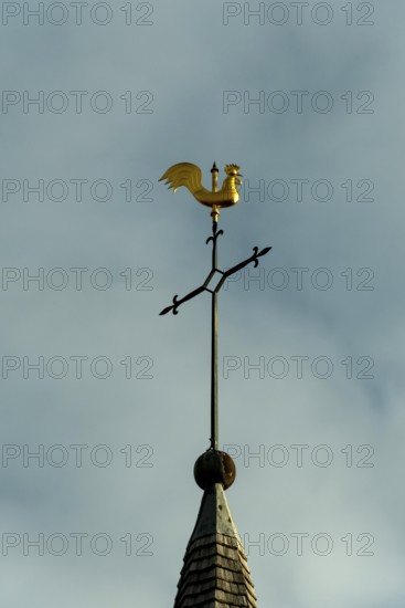 A gold rooster weather vane sits on top of a steeple with a blue sky background. The weather vane