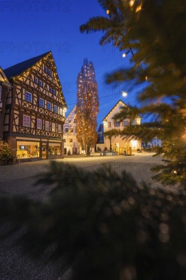 Illuminated half-timbered houses and a tall tree in a nighttime urban landscape, Nagold, Calw