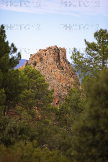 Bizarre rock erosions in evening light, Calanche, Les Calanches de Piana, Corse-du-Sud, Corsica,