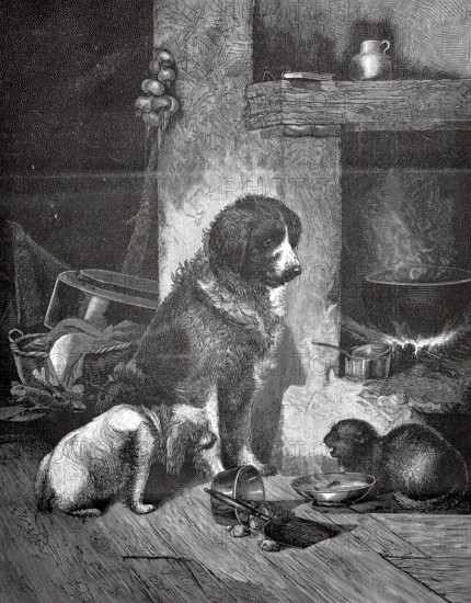Dogs and aggressive cats fighting over a food bowl, 880, Three dogs rest in a cozy pantry full of