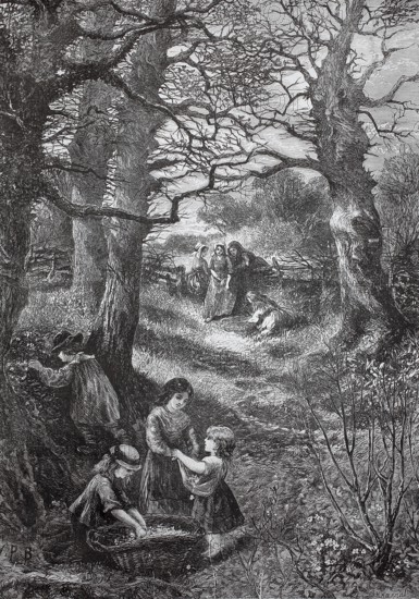 Children playing in the wild, spring, 1880, Germany, groups of children play happily in a