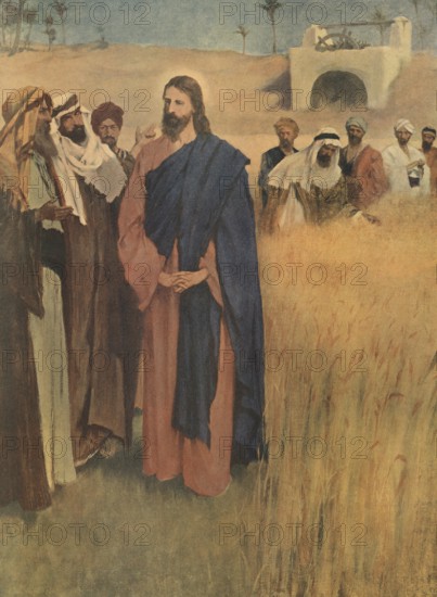 Scene from the biblical story, Jesus walking through the cornfields, authentic reproduction of a