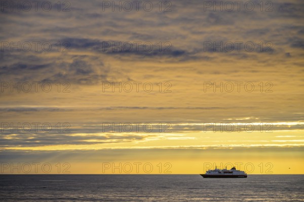 A Hurtigrute ship on the wide Barents Sea at sunset midnight sun, yellowish clouds and calm seas,