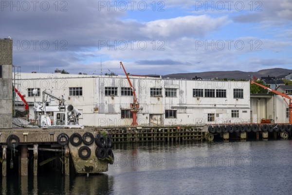 Fishing industry industrial building at the harbour with red loading cranes on the quay, water and