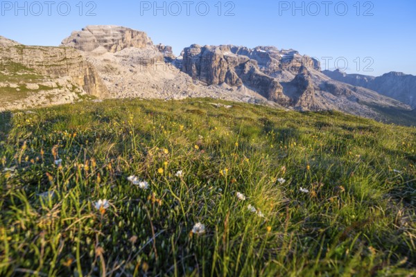 View of rocky mountain peaks of the Brenta Mountains in the evening light, mountain landscape on