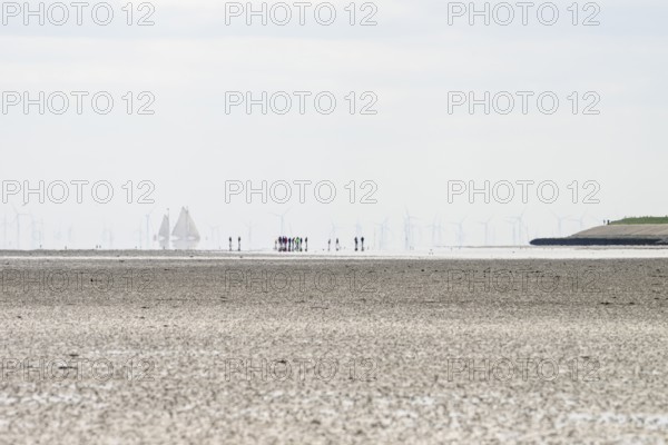 Wide view of the Wadden Sea at low tide with wind turbines and a sailing ship on the horizon in the