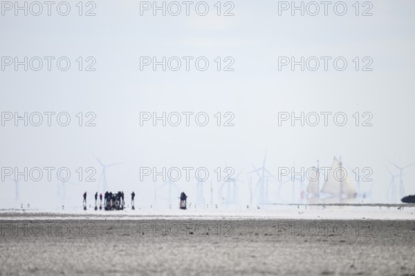 A group of people in the wide Wadden Sea at low tide with wind turbines and sailing ships, Texel