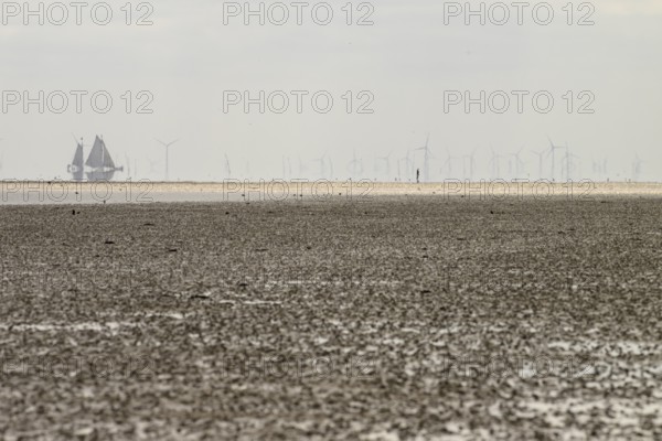 A sailing ship sails in the distance, while wind turbines in the quiet coastal landscape can be