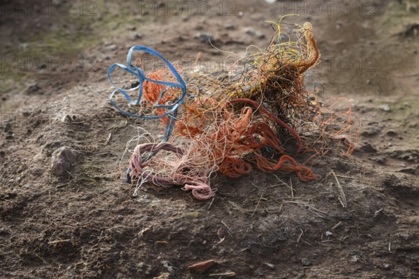 An abandoned nest of a gannet (Sula bassana) made of different materials with a lot of plastic