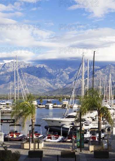 Calvi marina, with the mountains of the Balagne region in the Haute-Corse department, Corsica,