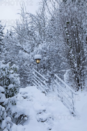 Snowy trees, garden, fence, lamp, snow, winter, Sieversen, Samtgemeinde Rosengarten, Lower Saxony,