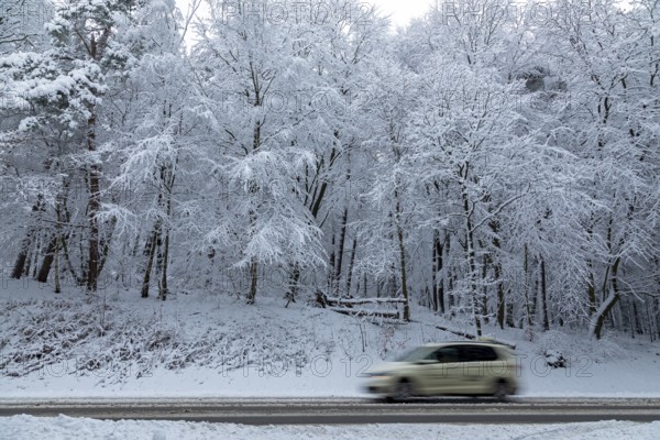 Car, taxi driving through snowy landscape, trees, winter, snow, Sieversen, Samtgemeinde