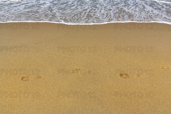 Soft surf on beach, coastline, footprints, Provincetown, Race Point Beach, Cape Cod National
