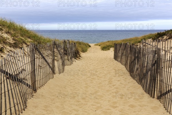 Sand path leads through dunes to sea, beach landscape with wooden fence, dune protection, cloud