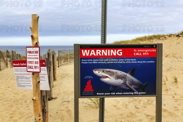 Information board, signs warning of white sharks, safety, emergency call, coastline, Provincetown,