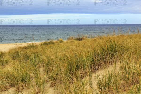 Ocean dune landscape, tall grasses on sand dunes, cloud cover, Provincetown, Race Point Beach, Cape