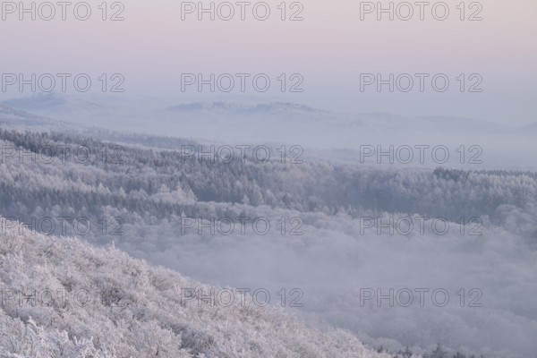 Snowy range of hills with frosty trees in the morning light, Hermannsweg an der Steinegge, Dissen