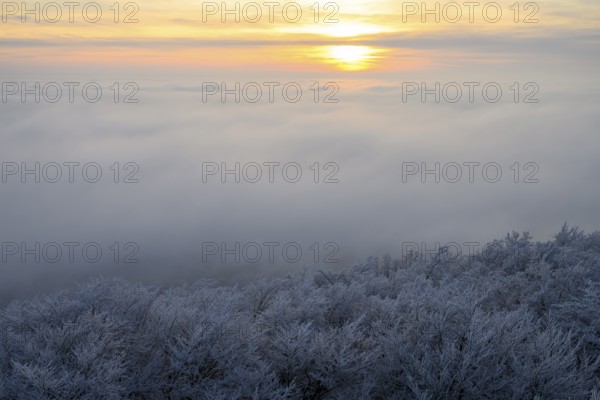 A sunrise over a foggy, wintry landscape with icy B<umkronen tops, Hermannsweg an der Steinegge,