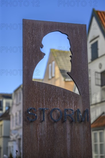 Metal sculpture with head profile of poet Theodor Storm against a city backdrop under a blue sky,