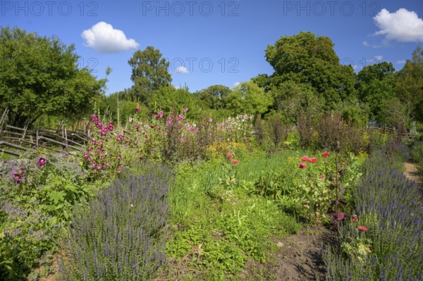 Colourful A picturesque garden with flowers and a rural house in the background, the colorful