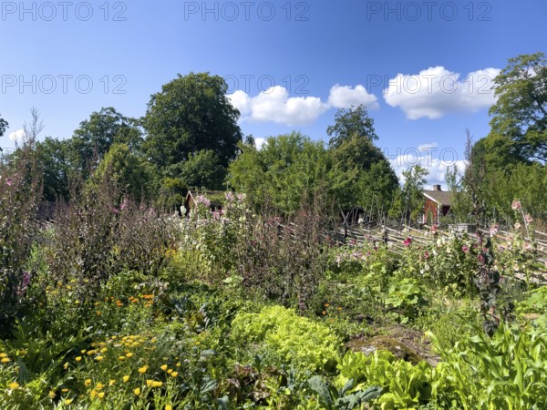 The colorful cottage garden vegetable garden of the famous botanist and taxonomist Carl von Linne