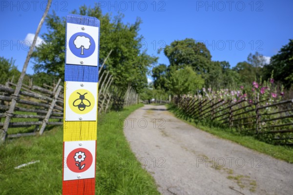 Colourful wooden signpost along a narrow garden path under clear blue sky, path along the cottage