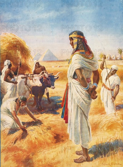 Scene from the biblical story, the rich harvest in Egypt, authentic reproduction of a school mural,
