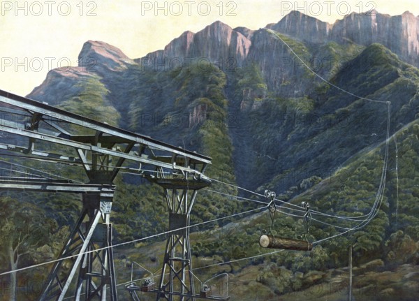 Cable car to transport timber in Cameroon, Africa, A cable car mechanism transports wood through a