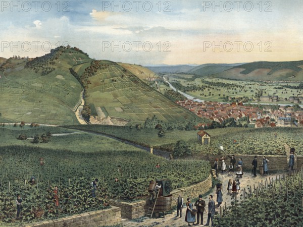 Rotenberg and Neckar Valley, in the Rhein-Neckar district in the administrative district of