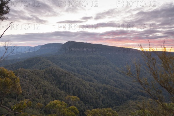 Sun set colors illuminating the sky above a vast sub tropical rain forest Gondwana, viewed from the