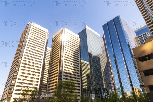 Sunlight illuminates the impressive skyscrapers of calgary's downtown core, showcasing the city's
