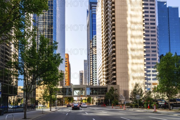 Cars are driving on a street lined with modern skyscrapers and lush green trees in downtown