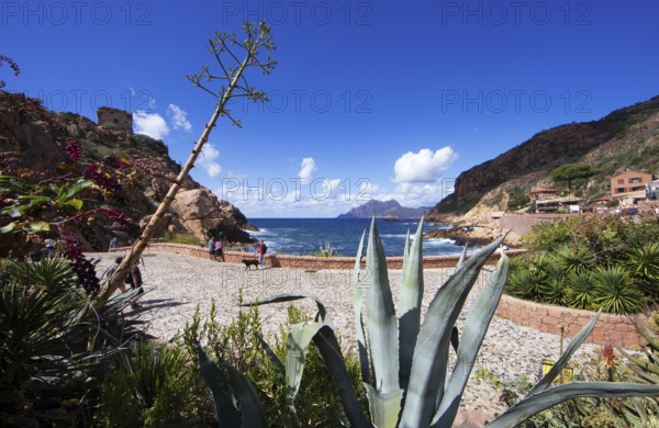 Marina de Porto with the Genoese Tower and the Bay of Porto, a UNESCO World Heritage Site, Ota,