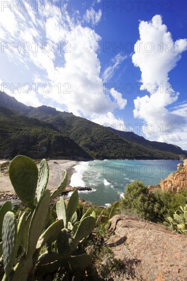 View of the pebble beach and Porto Bay, a UNESCO World Heritage Site, Ota, west coast of Corsica,