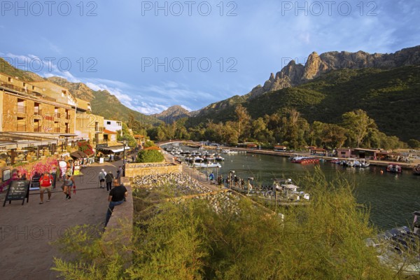 Boats in Port de Porto or Port on the Porto River, Capu d'Orto Mountains in the back, afternoon