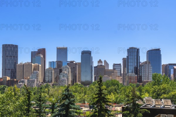 Modern skyscrapers rise above a foreground of lush green trees in calgary, alberta, canada,