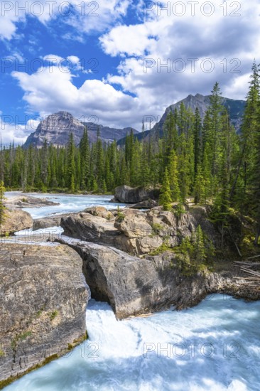 Turquoise water flows under natural bridge rock formation on bow river with evergreen trees,