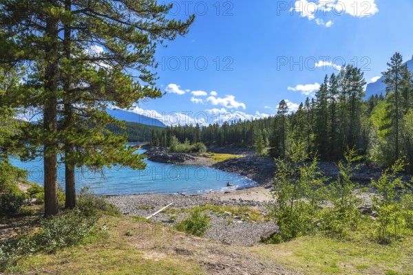 Vibrant turquoise waters of lake minnewanka sparkling under a sunny sky, framed by lush forests and